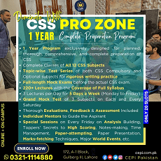 CSS Pro Zone For CSS 2025
